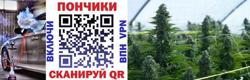 A-PVP Новая Ладога