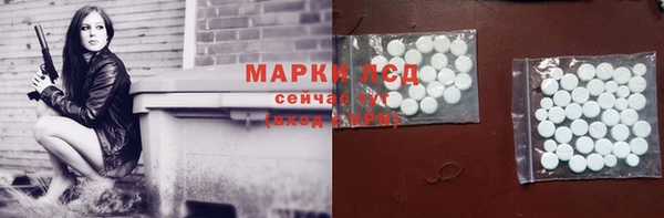 спайс Баксан