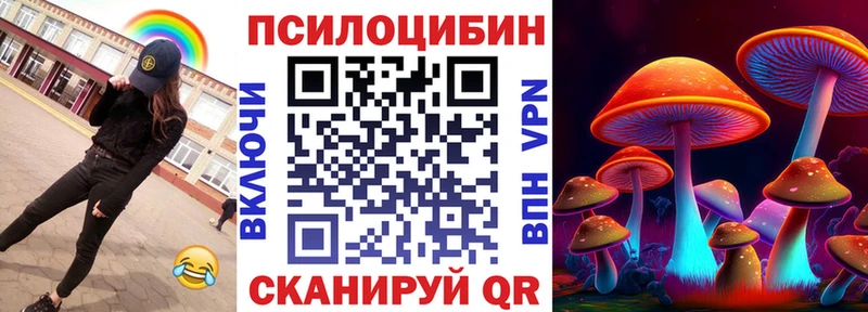 Галлюциногенные грибы прущие грибы  Новая Ладога 